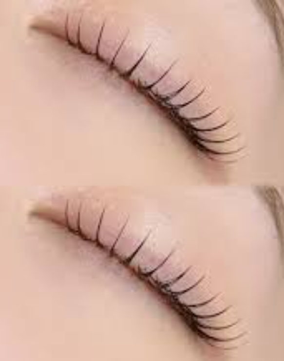 속눈썹의 역사 및 창업